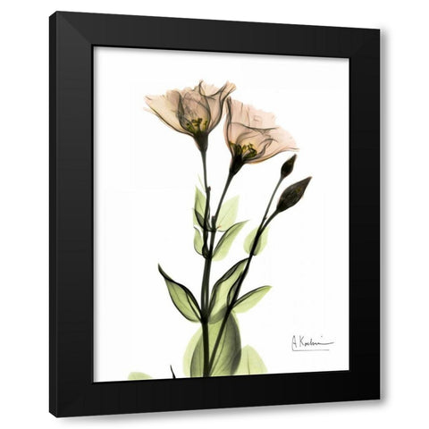 Gentian 2 Black Modern Wood Framed Art Print by Koetsier, Albert