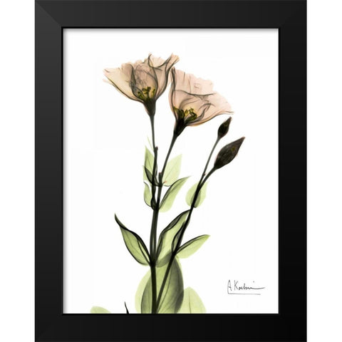 Gentian 2 Black Modern Wood Framed Art Print by Koetsier, Albert