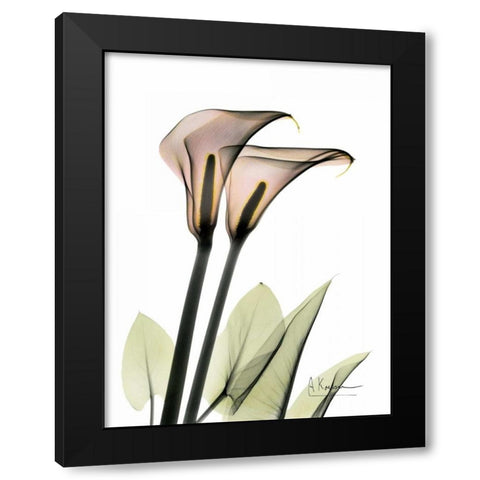 Calla Lily Pair Black Modern Wood Framed Art Print by Koetsier, Albert