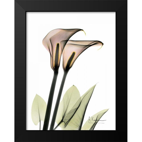 Calla Lily Pair Black Modern Wood Framed Art Print by Koetsier, Albert