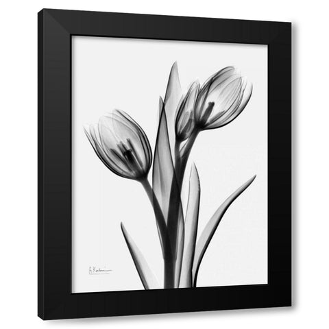 Tulips H37 Black Modern Wood Framed Art Print with Double Matting by Koetsier, Albert