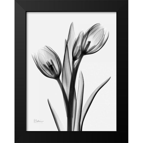 Tulips H37 Black Modern Wood Framed Art Print by Koetsier, Albert