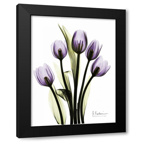 Regal Tulip B13 Black Modern Wood Framed Art Print with Double Matting by Koetsier, Albert