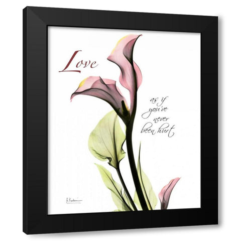 Calla Lily in Pink - Love Black Modern Wood Framed Art Print with Double Matting by Koetsier, Albert