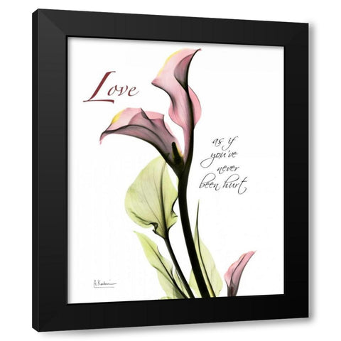 Calla Lily in Pink - Love Black Modern Wood Framed Art Print by Koetsier, Albert