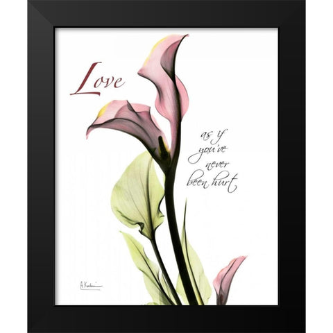 Calla Lily in Pink - Love Black Modern Wood Framed Art Print by Koetsier, Albert