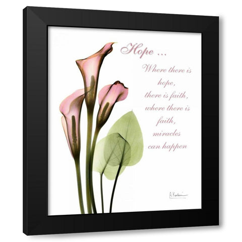 Calla Lily in Pink - Hope Black Modern Wood Framed Art Print with Double Matting by Koetsier, Albert