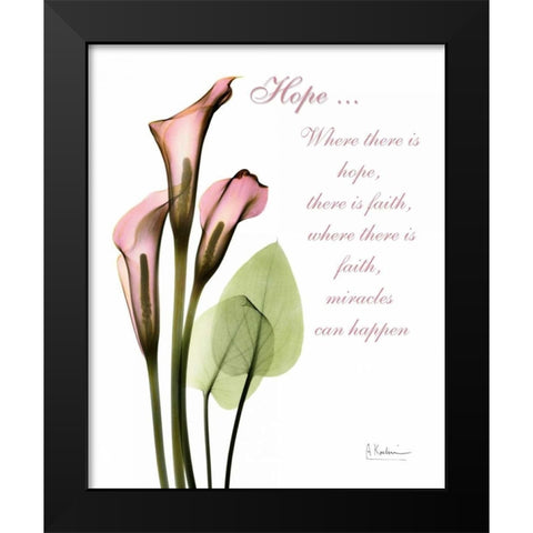 Calla Lily in Pink - Hope Black Modern Wood Framed Art Print by Koetsier, Albert