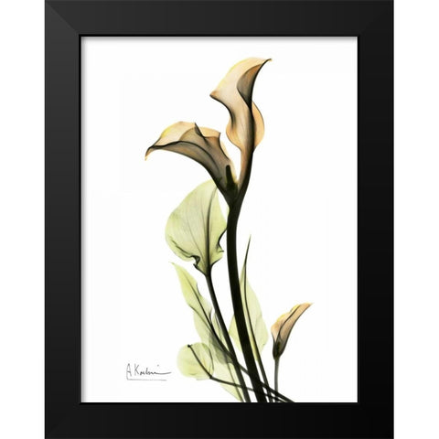 Calla Lily Duo Black Modern Wood Framed Art Print by Koetsier, Albert