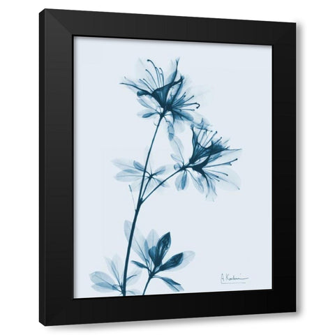 Azalea in Blue Black Modern Wood Framed Art Print with Double Matting by Koetsier, Albert