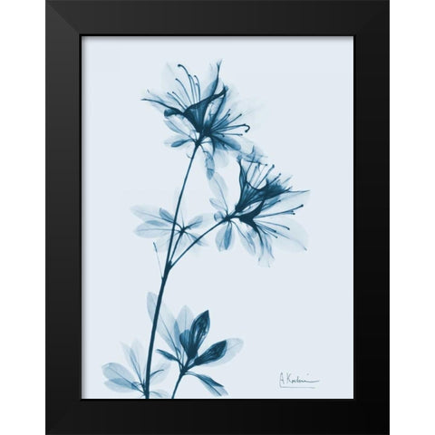 Azalea in Blue Black Modern Wood Framed Art Print by Koetsier, Albert