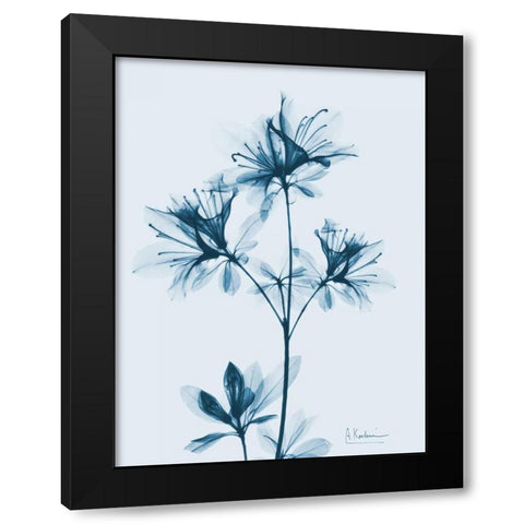 Azalea in Blue 2 Black Modern Wood Framed Art Print by Koetsier, Albert