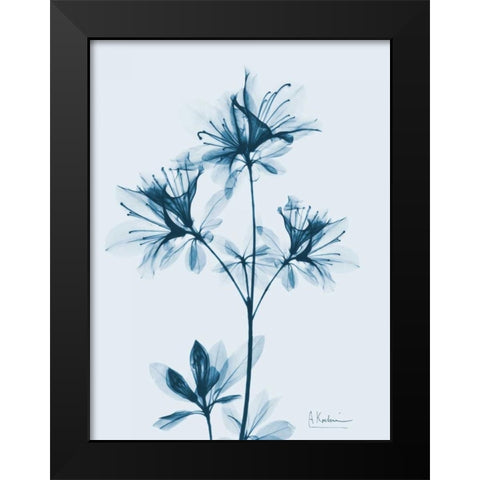 Azalea in Blue 2 Black Modern Wood Framed Art Print by Koetsier, Albert