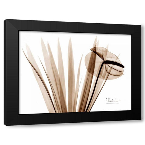 Flamingo Plant Black Modern Wood Framed Art Print with Double Matting by Koetsier, Albert