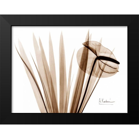 Flamingo Plant Black Modern Wood Framed Art Print by Koetsier, Albert