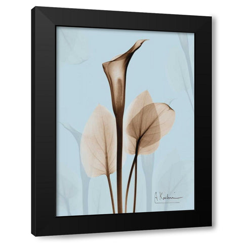 Calla Lily Brown on Blue 2 Black Modern Wood Framed Art Print with Double Matting by Koetsier, Albert