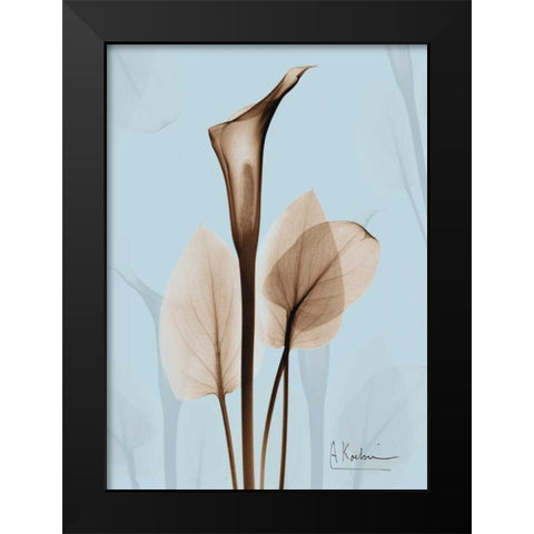 Calla Lily Brown on Blue 2 Black Modern Wood Framed Art Print by Koetsier, Albert