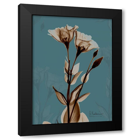 Fields of Blue II Black Modern Wood Framed Art Print with Double Matting by Koetsier, Albert