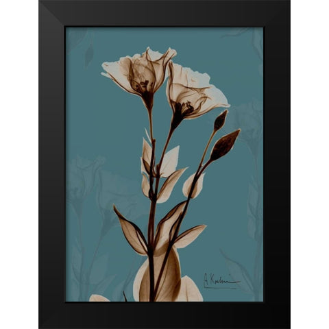 Fields of Blue II Black Modern Wood Framed Art Print by Koetsier, Albert