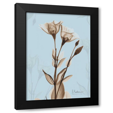 Tulips Brown on Blue Black Modern Wood Framed Art Print with Double Matting by Koetsier, Albert