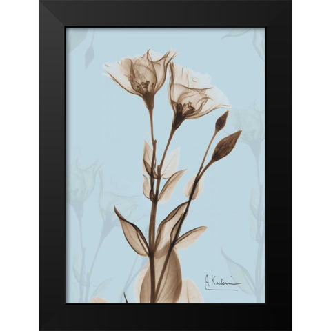 Tulips Brown on Blue Black Modern Wood Framed Art Print by Koetsier, Albert