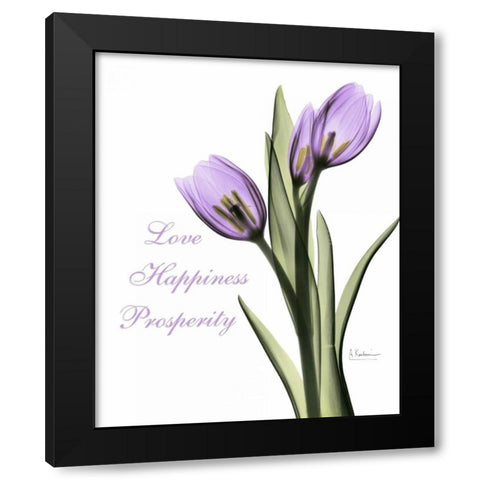 Purple Tulips Love Happiness Black Modern Wood Framed Art Print with Double Matting by Koetsier, Albert