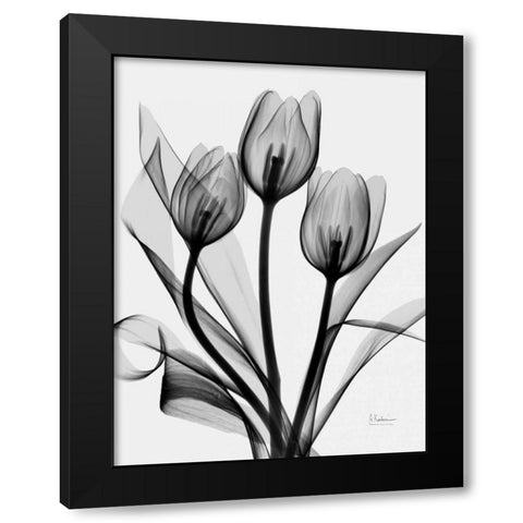 Tulips Black Modern Wood Framed Art Print with Double Matting by Koetsier, Albert