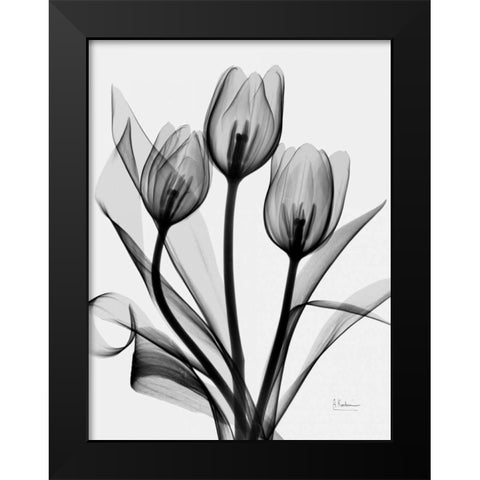 Tulips Black Modern Wood Framed Art Print by Koetsier, Albert