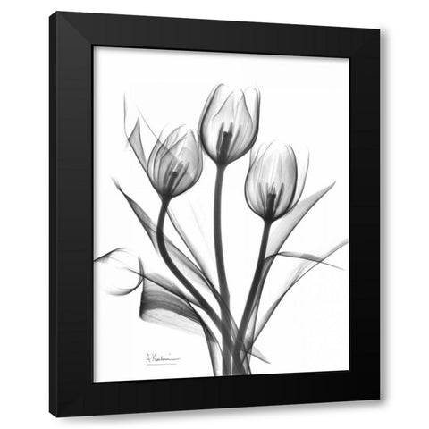 Tulips Bunch in BandW Black Modern Wood Framed Art Print with Double Matting by Koetsier, Albert