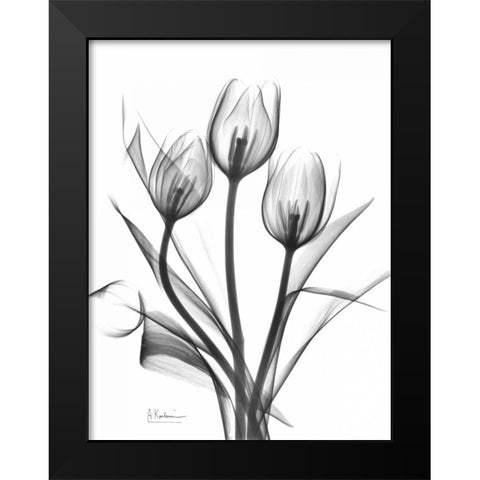 Tulips Bunch in BandW Black Modern Wood Framed Art Print by Koetsier, Albert