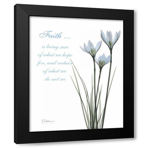 White Rain Lily - Faith Black Modern Wood Framed Art Print with Double Matting by Koetsier, Albert