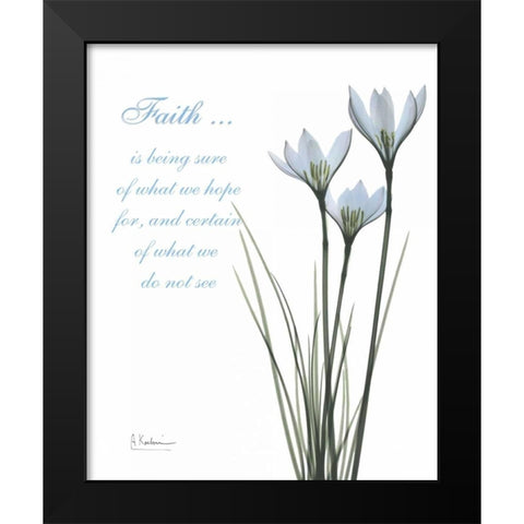 White Rain Lily - Faith Black Modern Wood Framed Art Print by Koetsier, Albert