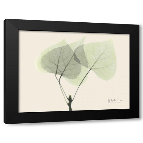 Aspen on Beige Black Modern Wood Framed Art Print with Double Matting by Koetsier, Albert