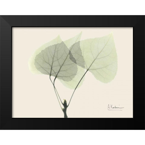 Aspen on Beige Black Modern Wood Framed Art Print by Koetsier, Albert