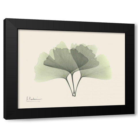 Ginkgo on Beige Black Modern Wood Framed Art Print with Double Matting by Koetsier, Albert