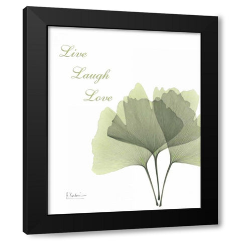 Ginkgo - Live Black Modern Wood Framed Art Print with Double Matting by Koetsier, Albert