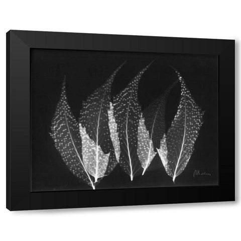 Japanese Ferns Close Up on Black Black Modern Wood Framed Art Print with Double Matting by Koetsier, Albert