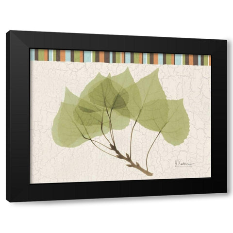 Trimmed Aspen Black Modern Wood Framed Art Print with Double Matting by Koetsier, Albert