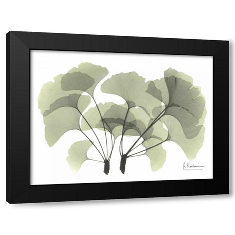 Ginkgo in Green Black Modern Wood Framed Art Print with Double Matting by Koetsier, Albert