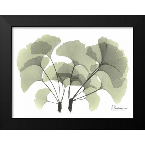 Ginkgo in Green Black Modern Wood Framed Art Print by Koetsier, Albert