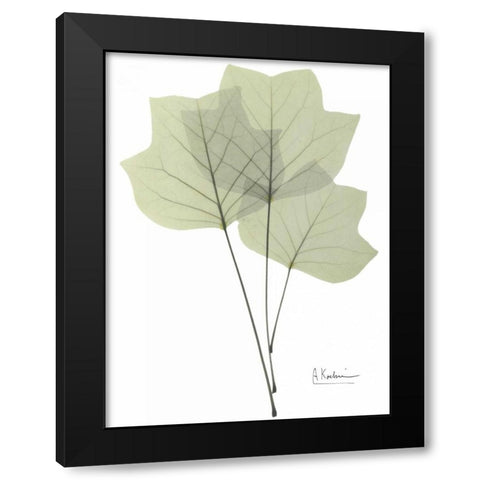 Tulip Tree in Green Black Modern Wood Framed Art Print with Double Matting by Koetsier, Albert