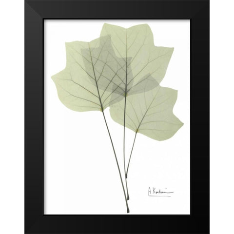 Tulip Tree in Green Black Modern Wood Framed Art Print by Koetsier, Albert