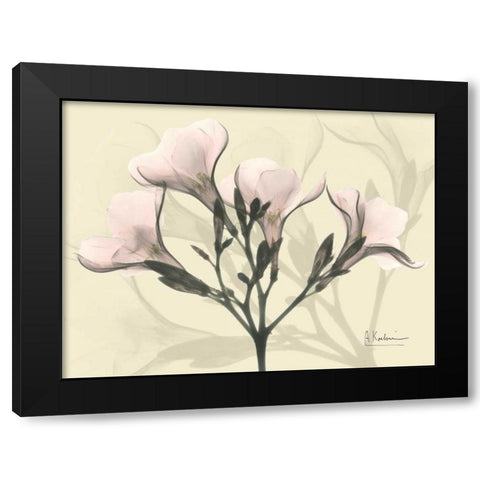 Oleander in Pink on Beige Black Modern Wood Framed Art Print by Koetsier, Albert