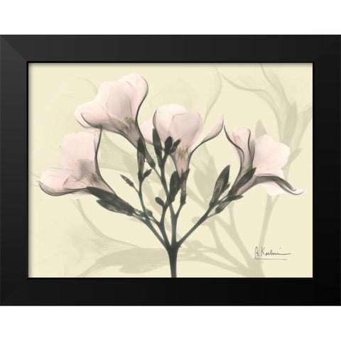 Oleander in Pink on Beige Black Modern Wood Framed Art Print by Koetsier, Albert