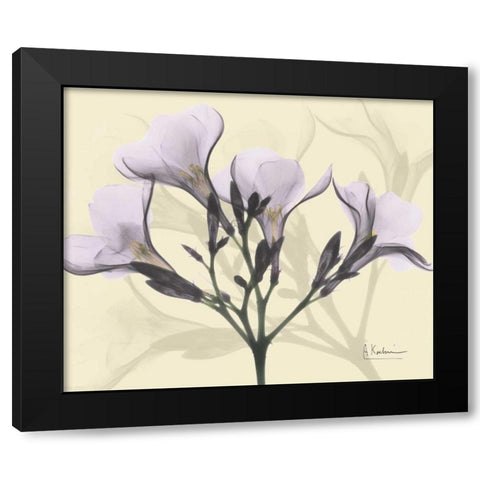 Oleander in Purple on Beige Black Modern Wood Framed Art Print with Double Matting by Koetsier, Albert