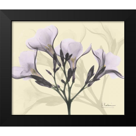 Oleander in Purple on Beige Black Modern Wood Framed Art Print by Koetsier, Albert