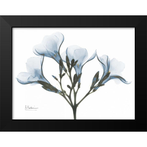 Oleander in Blue Black Modern Wood Framed Art Print by Koetsier, Albert