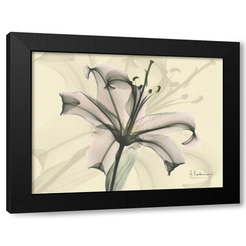 Lily in Pink on Beige Black Modern Wood Framed Art Print with Double Matting by Koetsier, Albert