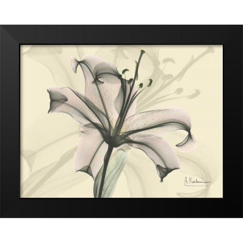 Lily in Pink on Beige Black Modern Wood Framed Art Print by Koetsier, Albert