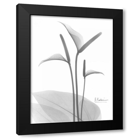 Flamingo in BandW Black Modern Wood Framed Art Print with Double Matting by Koetsier, Albert